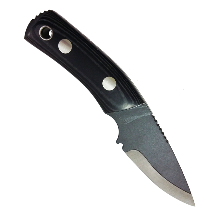 Pro Tool Praesidio Compact Custom 1