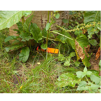 Mora Morakniv 2000 Orange 3