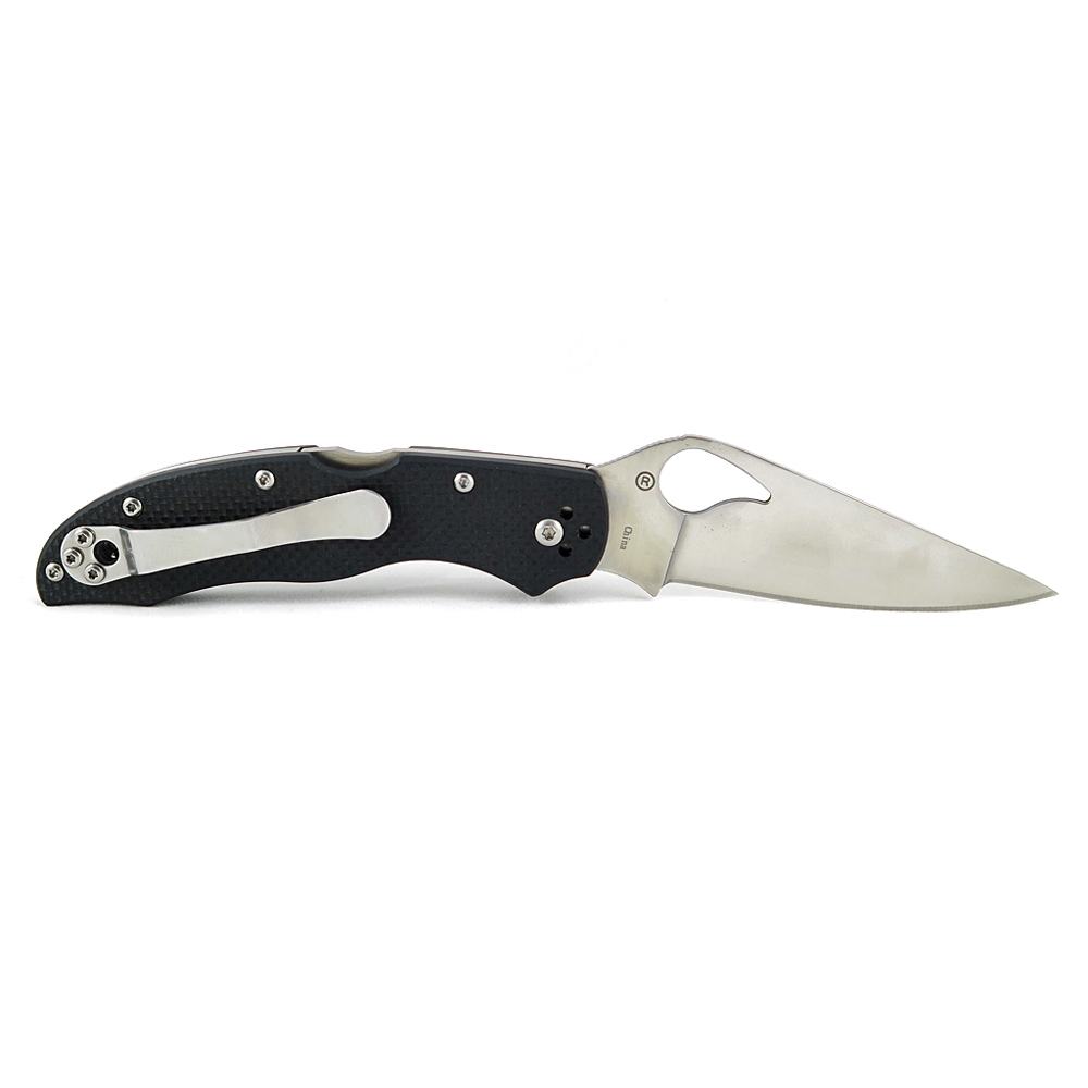 Spyderco Byrd Harrier 2 Lockback 6