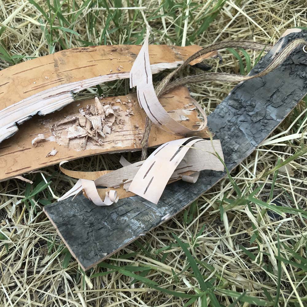 Разпалка - брезова кора 2