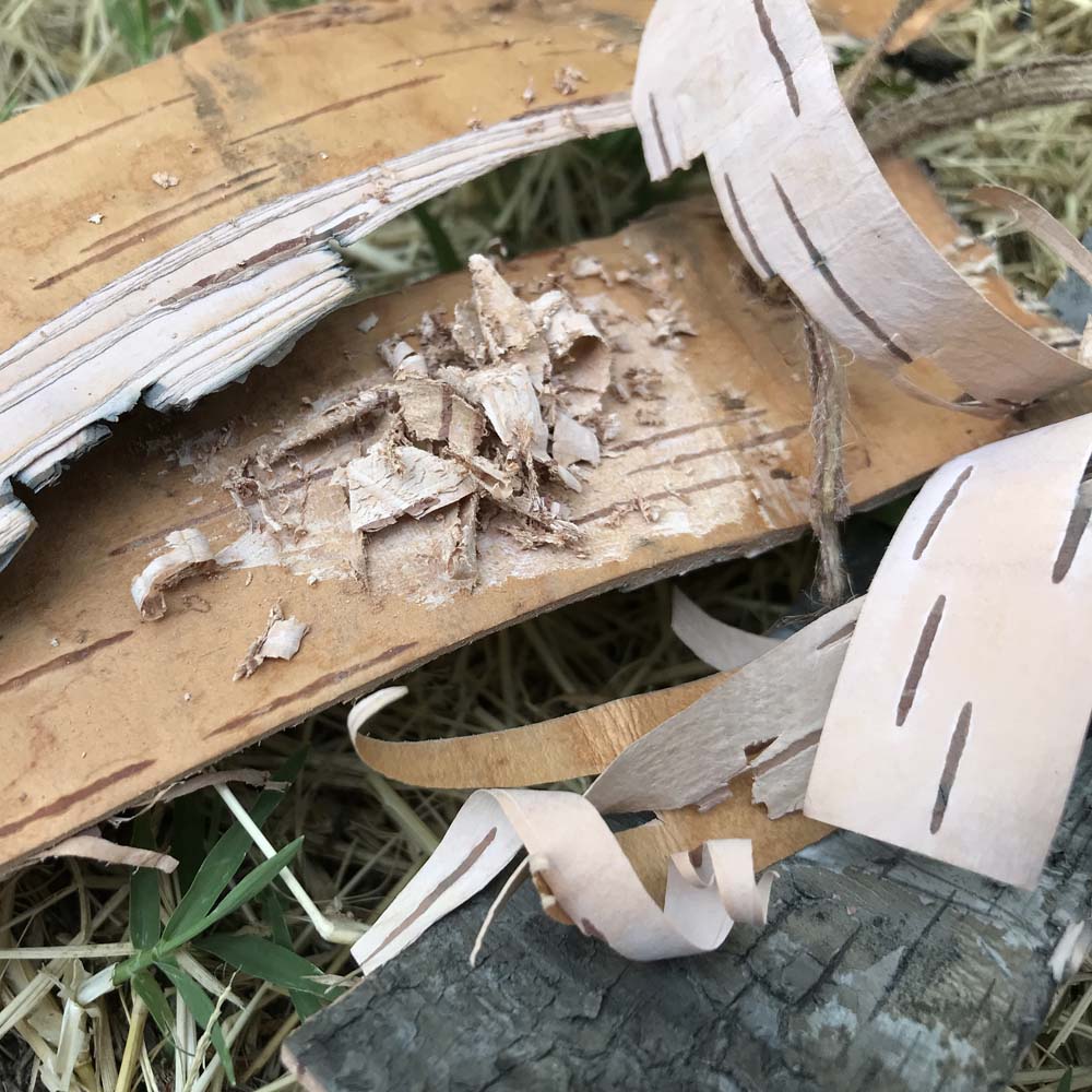 Разпалка - брезова кора 3