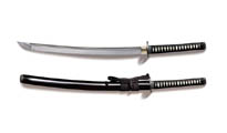 Меч Cold Steel Warrior Chisa Katana 88BCK