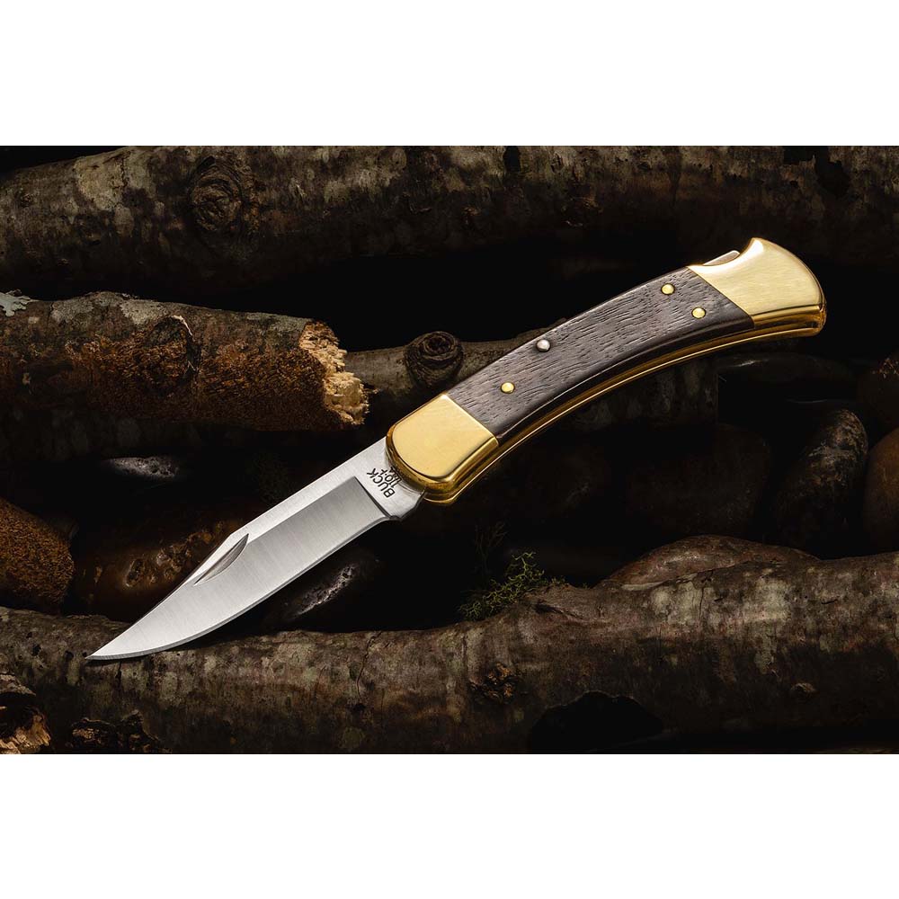 Buck 110 Folding Hunter 6