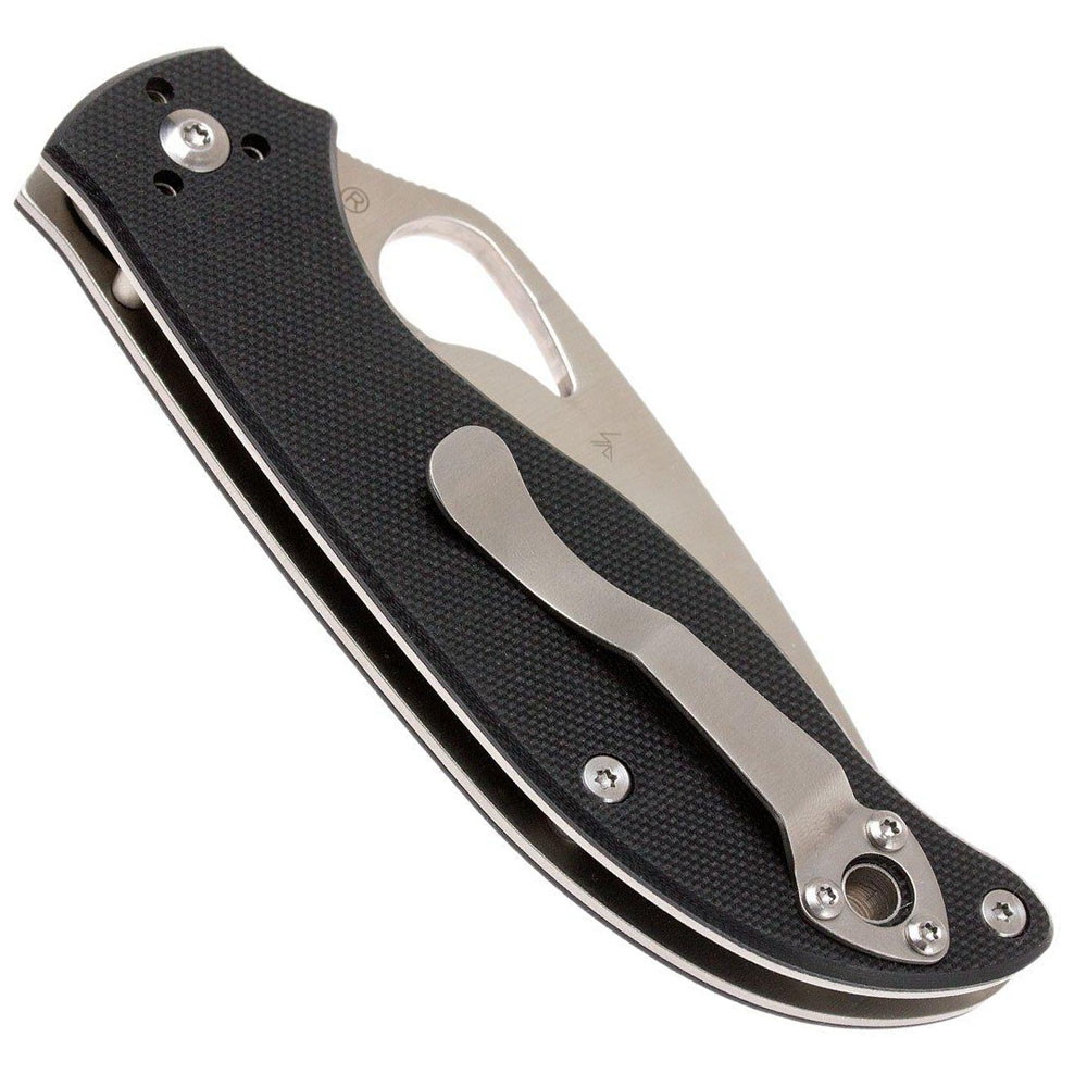 Spyderco Byrd Raven 2 BY08GP2 4
