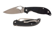 Spyderco Byrd Raven 2 BY08GP2