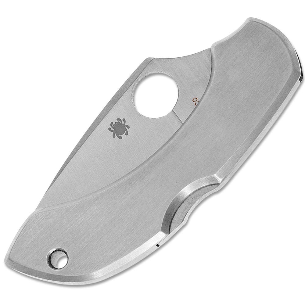 Spyderco C28P Dragonfly, Stainless 2