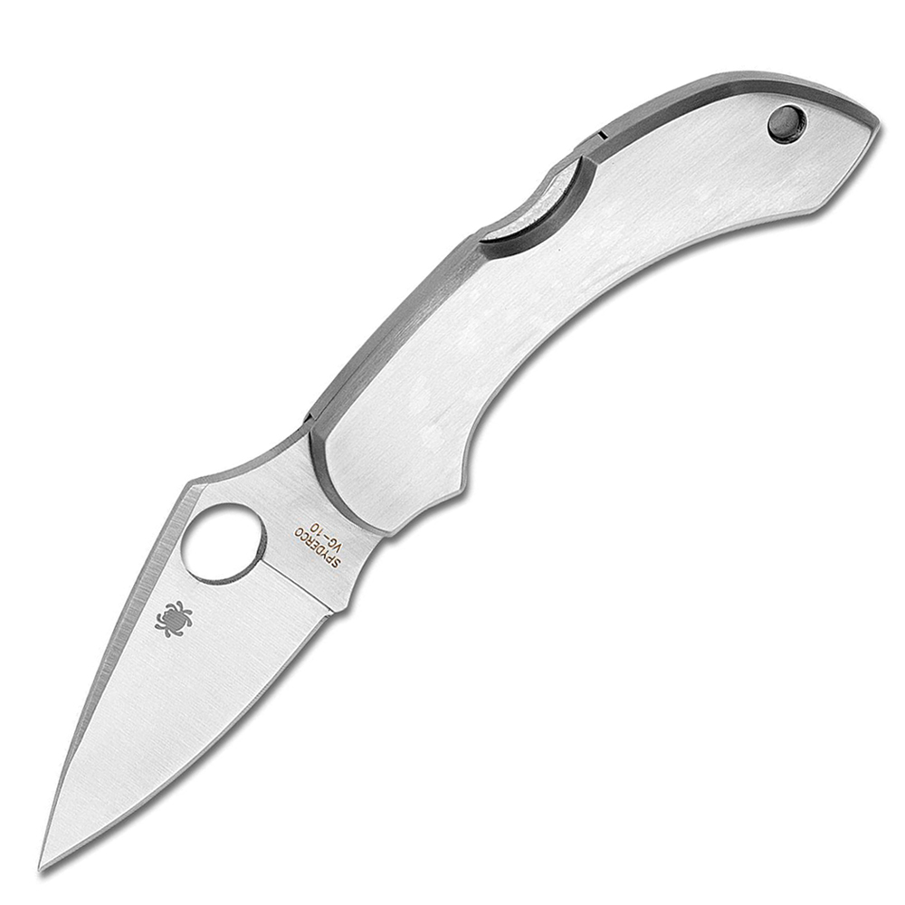 Spyderco C28P Dragonfly, Stainless 1