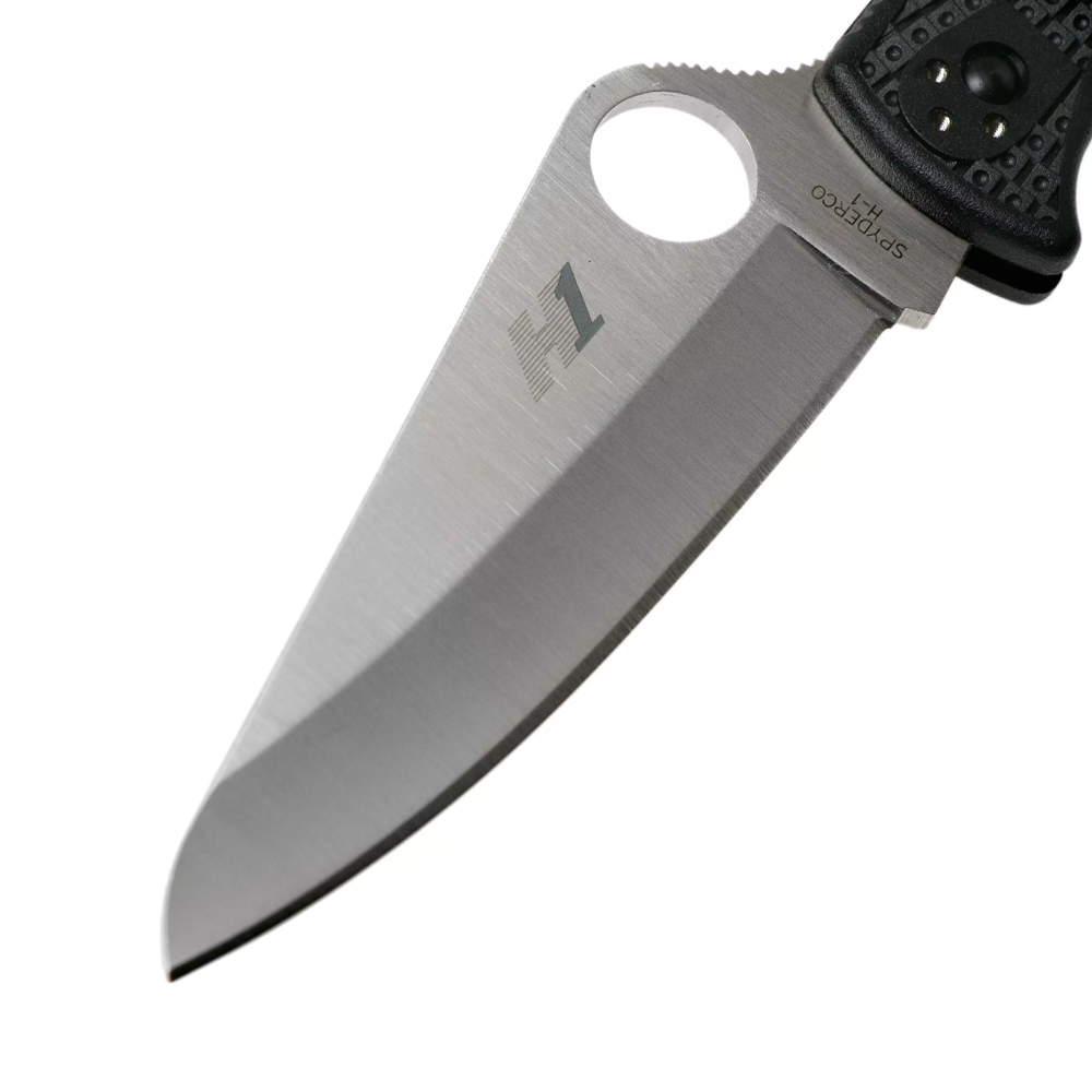 Spyderco Pacific Salt 2 C91PBK2 Black FRN 2