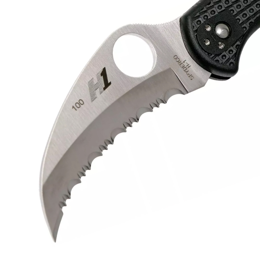 Spyderco Tasman Salt 2 C106SBK2 3