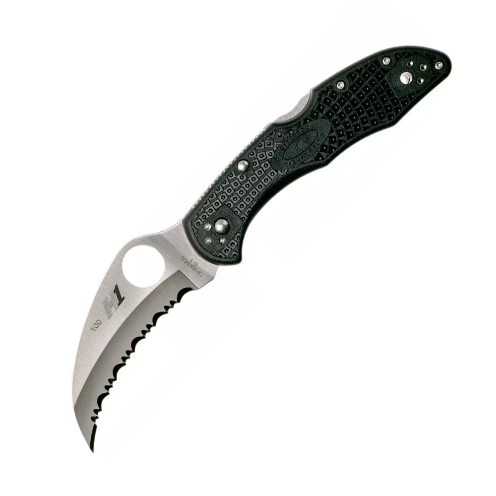 Spyderco Tasman Salt 2 C106SBK2 1