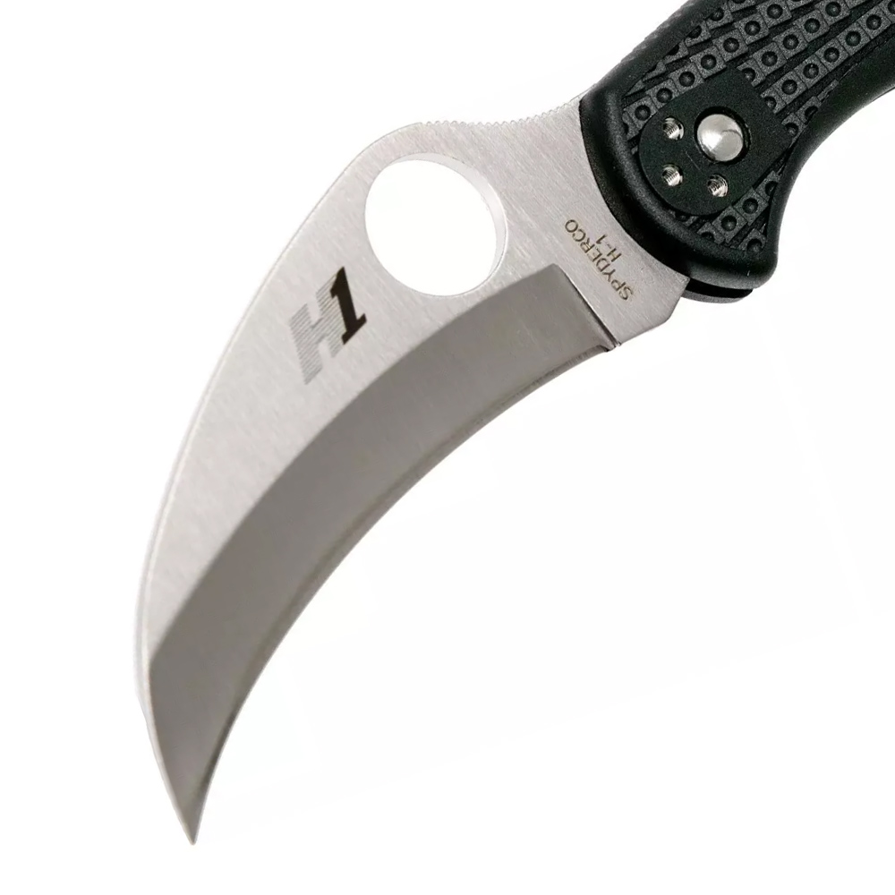 Spyderco Tasman Salt 2 C106PBK2 Black 3