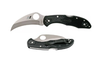 Spyderco Tasman Salt 2 C106PBK2 Black
