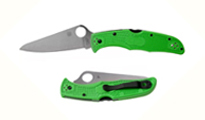 Spyderco Pacific Salt 2 Green LC200N C91FPGR2