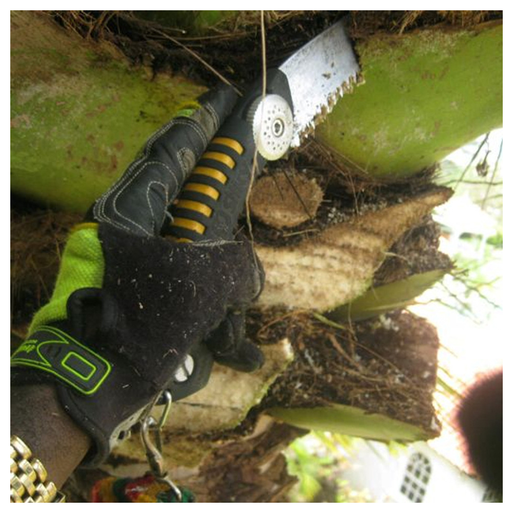 Трион SILKY SUGOI 420 ARBORIST HAND SAW 4